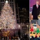 Tree of im 이미지