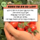 별더농장 네이버블로그