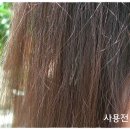 &lt;25cc 헤어부스터&gt; 홈케어 헤어트리트먼트 추천