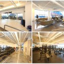 주식회사 인스타짐 이미지