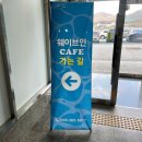 사림동114 | ［창원 사림동］ 창원중앙역 해외여행 온 것 같은 분위기 좋은 카페 웨이브인