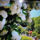 미래참푸드 이미지