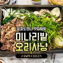 오리사냥 1 이미지