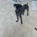 마음이네 멍발소 이미지