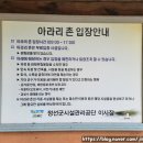 족욕카페마중물샘터 | 여름방학에 아이랑 가볼 만한 곳 추천 - 강원도 정선 아라리촌