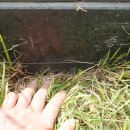 안양시청.시의회청사 이미지