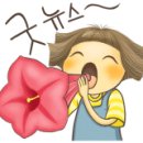 꽃드림플라워 이미지