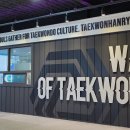 태권한류 이미지