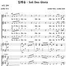 입례송 - Soli Deo Gloria / 솔리 데오 글로리아 (손경민) [손경민 성가음반] 이미지