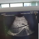 메디넷114 이미지