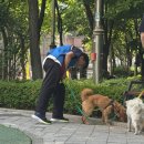 서울성북구학교밖청소년지원센터 동아일보