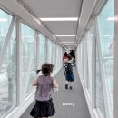 134 | 후쿠오카 아시아나항공 'OZ134' 아이랑 후기, 기내식 좌석 항공권 특가