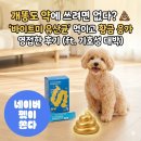 황금대박 | 개똥도 약에 쓰려면 없다? 💩 '바이트미 유산균' 먹이고 황금 응가 영접한 후기 (ft. 기호성 대박)