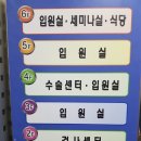 엔탑이비인후과병원 이미지
