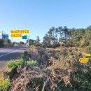 고성오조로 이미지