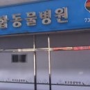 호크종합동물병원 이미지