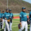 트라이파주