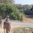 그린승마랜드 | “갈대꽃 구보, 속새빛 평보 — 낙동강 첫 외승 기록”