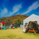 스테이 담아 이미지