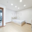 에코선샤인