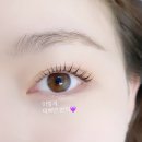 깡라인 뷰티(KkangLine Beauty)