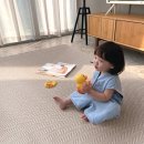 선진세탁 이미지