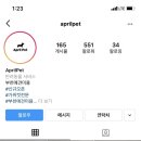 에이프릴펫 이미지