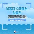 대구 수돗물 사태, 낙동강 수계에서 검출된 '과불화화합물'이란? 이미지