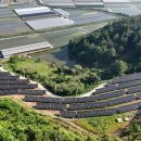 보성에너지 태양광발전소 이미지