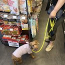 폴리파크 동해점 이미지