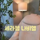나비엘 수유 갤러리 | 세라젬 나비엘 안마의자 체감가 확 낮춘 비결