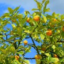 보리수어린이집 이미지