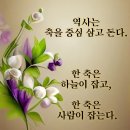 1구역[10/30(목) 보광동,청파동,용산2가동,이태원경로단,서빙고경로단,신동아아파트 경로단,서빙고할머니경로단 장수사진활동] 이미지