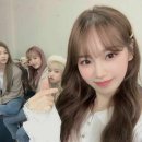 채원
