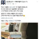 카페지밥 이미지