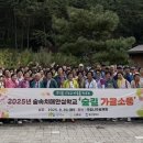 소풍 NSP통신