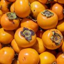 자매 농장 이미지