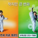 이글태권도장 이미지