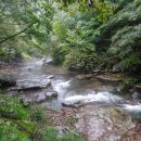 방화동 생태길 이미지