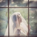 다미인 이미지