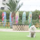 멍펜션1 이미지