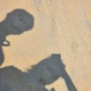 상주은모래비치주차장 이미지