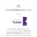 마켓컬리