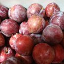 경봉마트 이미지