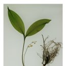 좌4동-13 이미지