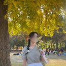 주부토로172번길 이미지