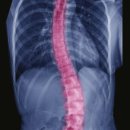 조은신경외과의원 이미지