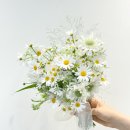 플로피아 이미지