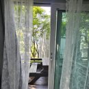 철원 자연 속 조용한 독채 펜션 숙소 갤러리펜션 후기