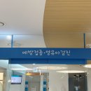 하늬동물병원 | 32개월 아기 대전 봉키병원 30-36개월 5차 영유아검진 후기